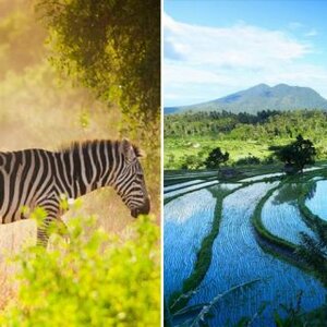 Van Verre Reizen B.V. image 1