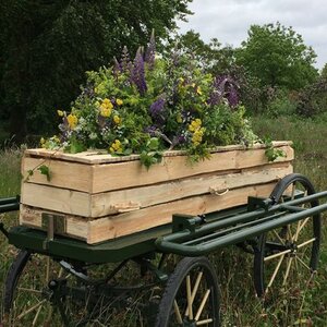 Rebel's Begrafenisonderneming BV image 2