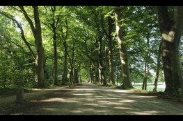 Ontdek het Corversbos