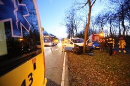Bestelbus tegen boom gereden in Blaricum, man gewond