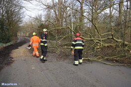 Fotoalbum: Noord-Holland in de greep van storm Eunice