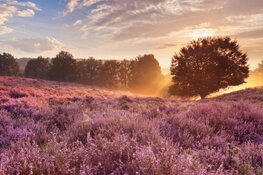 5 x leukste to-do's in Hilversum