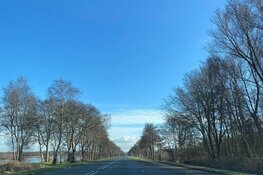 Faunatunnels, nieuwe bruggen en onderhoud aan de N201