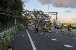 Boom omgevallen op A1 bij Naarden