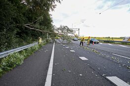 Boom omgevallen op A1 bij Naarden
