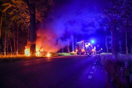 Auto in brand tegen boom in Hilversum