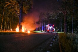 Auto in brand tegen boom in Hilversum