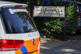 Trieste gebeurtenis bij dierenarts Hilversum: hond komt voor euthanasie, maar valt assistent aan