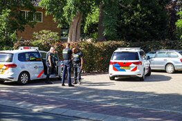 Trieste gebeurtenis bij dierenarts Hilversum: hond komt voor euthanasie, maar valt assistent aan