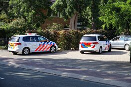 Trieste gebeurtenis bij dierenarts Hilversum: hond komt voor euthanasie, maar valt assistent aan