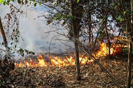Buitenbrand in bos bij Huizen
