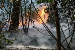 Buitenbrand in bos bij Huizen