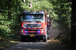 Kleine bosbrand in Hilversum