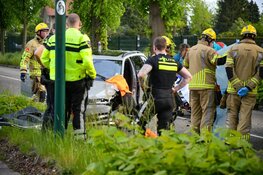 Auto tegen boom op de Rading in Loosdrecht