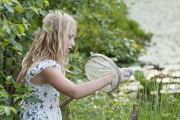 Watersafari in ’s-Graveland