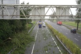 Storm in beeld: Poly zwaarste zomerstorm ooit gemeten
