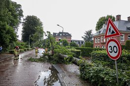 Naarderstraat in Laren in twee richtingen afgesloten na stormschade