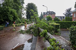 Naarderstraat in Laren in twee richtingen afgesloten na stormschade