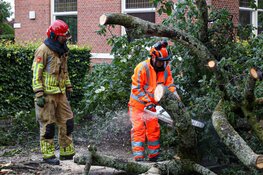 Naarderstraat in Laren in twee richtingen afgesloten na stormschade
