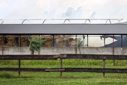 Brand bij agrarisch bedrijf in Loosdrecht