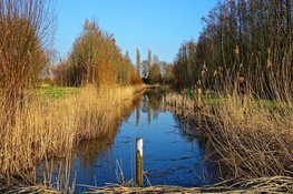 Noord-Hollands Natuurnetwerk bijna afgerond: nog 4.257 hectare te gaan