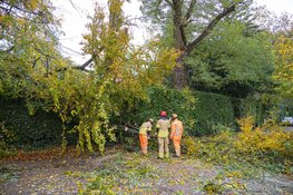 Boom waait om en valt op kruising in Bussum