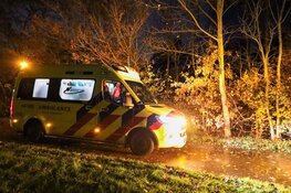 Scooterrijdster tegen omgewaaide boom gereden