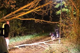 Scooterrijdster tegen omgewaaide boom gereden
