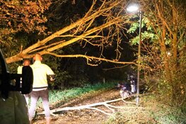 Scooterrijdster tegen omgewaaide boom gereden