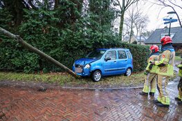Auto tegen boom gereden in Blaricum