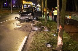 Auto knalt op boom, bestuurder onder invloed