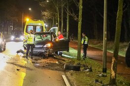 Auto knalt op boom, bestuurder onder invloed
