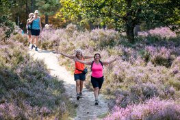 Inschrijving 7e editie Pink Ribbon Soester Wandelweekend geopend