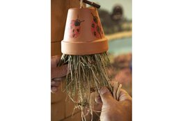 OERRR Bouw je eigen insectenhotel in 's-Graveland