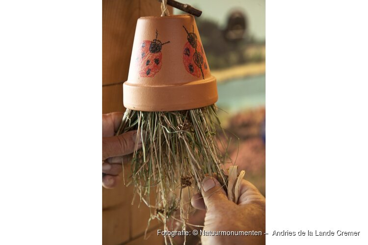 OERRR Bouw je eigen insectenhotel in 's-Graveland