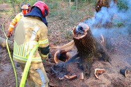 Brandje in bosrijk gebied Blaricum