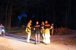 Rook gezien boven bos bij Laren