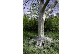 Spooklaantje Hilversemse Meent