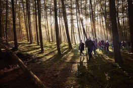 OERRR Dauwtrappen met het hele gezin in ’s-Graveland