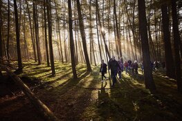 OERRR Dauwtrappen met het hele gezin in ’s-Graveland