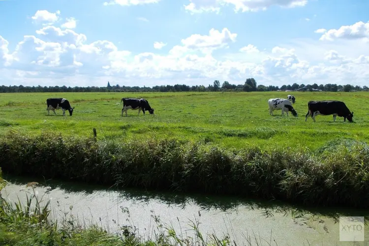 Provincie en agrariërs slaan handen ineen voor stikstofaanpak en natuurherstel