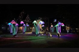 Cursus smartphone fotografie bij avond – perfect voor Zuiderzeelicht!