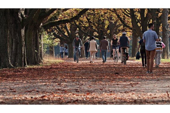 Overgang naar oktober verloopt met rustig herfstweer