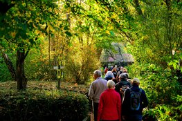 Recordaantal wandelaars geniet van 11e editie Amsterdam City Walk in herfstzon