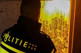 Ondermijningscontrole boerderijen leidt tot hennepvondst
