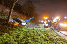 Automobilist onder invloed rijdt verkeersbord omver en eindigt tegen boom