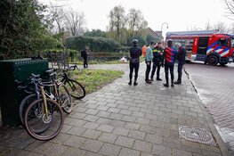 Auto te water na schrikreactie