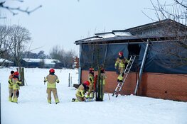 Dak van een stal ingestort. Brandweer bevrijdt meerdere koeien