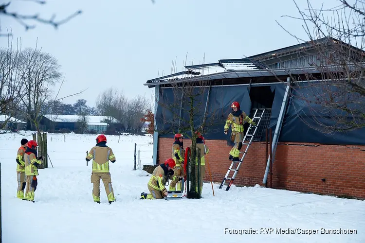 Dak van een stal ingestort. Brandweer bevrijdt meerdere koeien