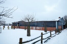 Dak van een stal ingestort. Brandweer bevrijdt meerdere koeien